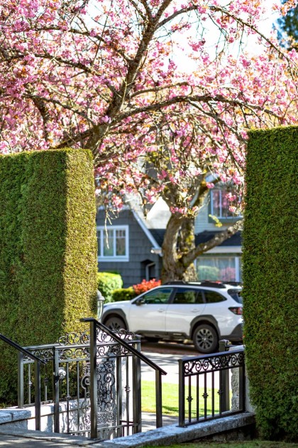 Photo 38 at 3587 W 38th Avenue, Dunbar, Vancouver West