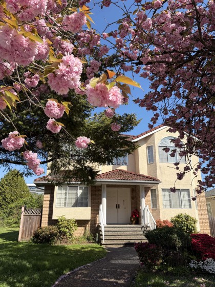 Photo 2 at 8110 Osler Street, Marpole, Vancouver West