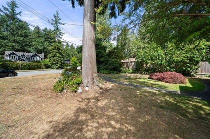 Photo 29 at 2010 Mackay Avenue, Pemberton Heights, North Vancouver