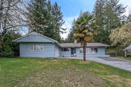 Photo 27 at 4037 Ripple Road, Bayridge, West Vancouver