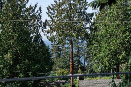 Photo 27 at 5061 Bear Lane, Caulfeild, West Vancouver