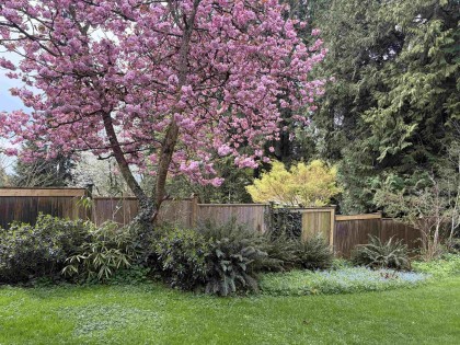 Photo 32 at 3039 St. Georges Avenue, Upper Lonsdale, North Vancouver