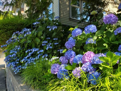 Photo 34 at 208 - 188 W 29 Street, Upper Lonsdale, North Vancouver