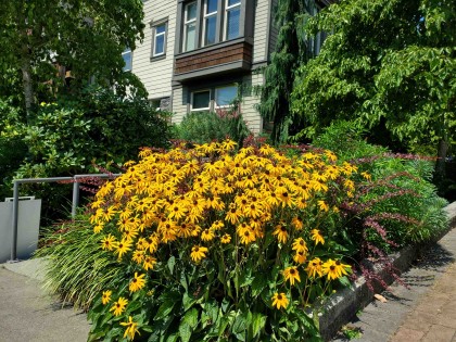 Photo 33 at 208 - 188 W 29 Street, Upper Lonsdale, North Vancouver