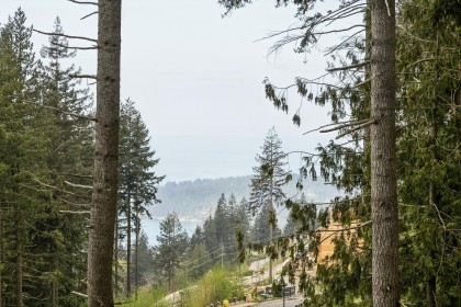 Photo 23 at 704 - 3963 Uplands Way, Cypress Park Estates, West Vancouver