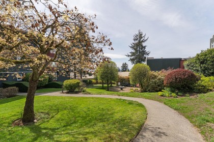 Photo 37 at 419 - 121 W 29th Street, Upper Lonsdale, North Vancouver