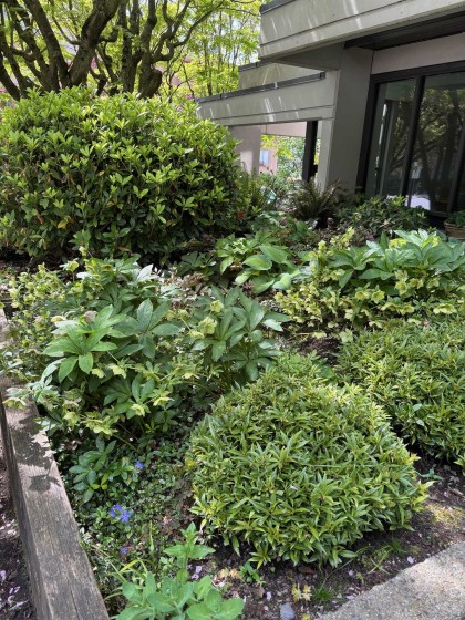 Photo 32 at 602 - 505 Lonsdale Avenue, Lower Lonsdale, North Vancouver