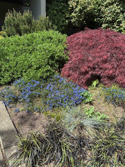 Photo 31 at 602 - 505 Lonsdale Avenue, Lower Lonsdale, North Vancouver