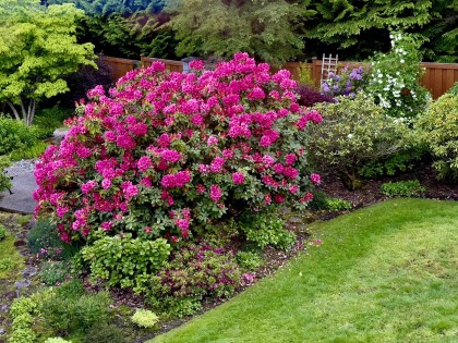Photo 34 at 107 - 1283 Parkgate Avenue, Northlands, North Vancouver