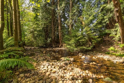 Photo 24 at 212 - 3275 Mountain Highway, Lynn Valley, North Vancouver