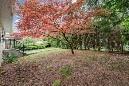 Photo 23 at 1095 E 29th Street, Lynn Valley, North Vancouver