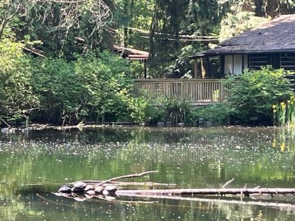 Photo 34 at 1075 Gladwin Drive, Capilano NV, North Vancouver