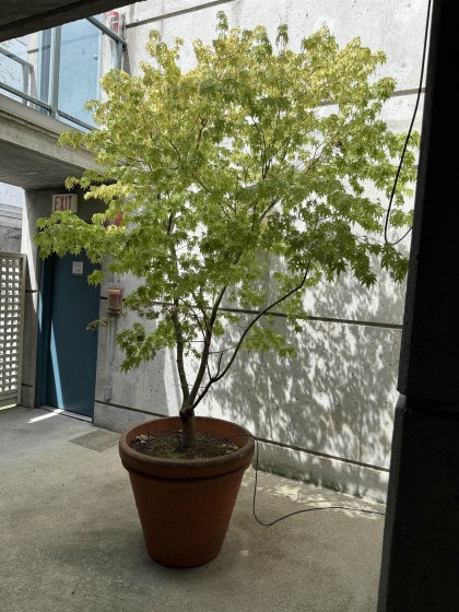 Photo 6 at 311 - 1630 W 1st Avenue, False Creek, Vancouver West