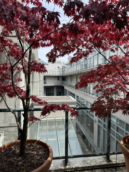 Photo 29 at 311 - 1630 W 1st Avenue, False Creek, Vancouver West