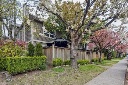 Photo 4 at 7 - 848 W 16th Street, Mosquito Creek, North Vancouver
