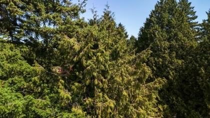 Photo 14 at 3060 W 45th Avenue, Kerrisdale, Vancouver West