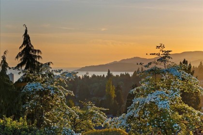 Photo 16 at 982 Braeside Street, Sentinel Hill, West Vancouver