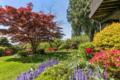 Photo 26 at 2440 Queens Avenue, Queens, West Vancouver