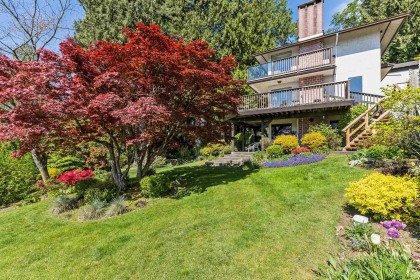 Photo 29 at 2440 Queens Avenue, Queens, West Vancouver