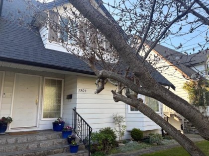 Photo 21 at 1309 Mahon Avenue, Central Lonsdale, North Vancouver