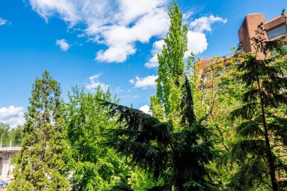 Photo 38 at 301 - 1450 Pennyfarthing Drive, False Creek, Vancouver West