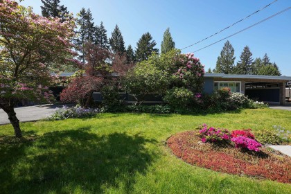 Photo 22 at 3665 Edgemont Boulevard, Edgemont, North Vancouver
