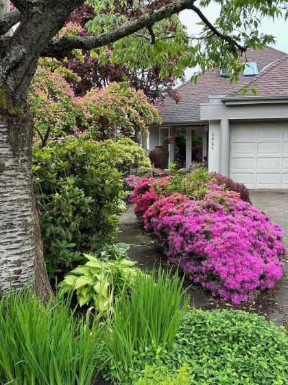 Photo 39 at 3961 St. Albans Avenue, Upper Lonsdale, North Vancouver