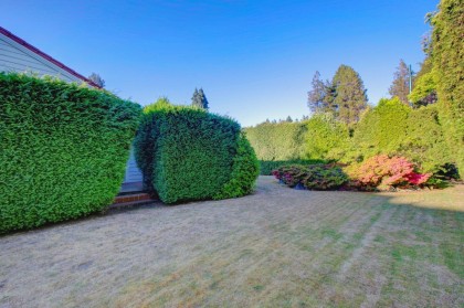 Photo 13 at 5275 Granville Street, Shaughnessy, Vancouver West