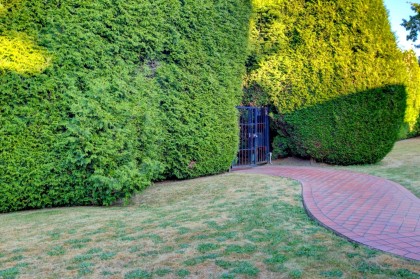 Photo 5 at 5275 Granville Street, Shaughnessy, Vancouver West