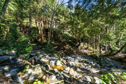 Photo 31 at 1162 Millstream Road, British Properties, West Vancouver