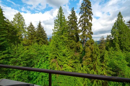 Photo 26 at 706 - 1500 Ostler Court, Indian River, North Vancouver