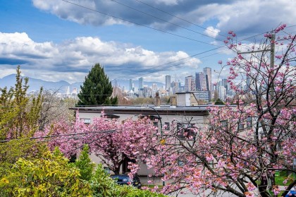 Photo 27 at 209 - 2211 W 2nd Avenue, Kitsilano, Vancouver West