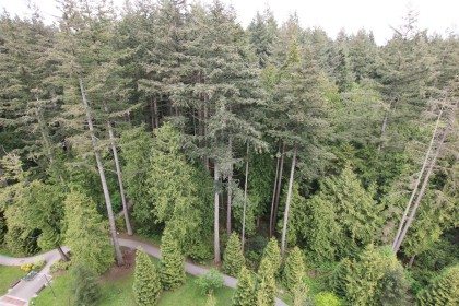 Photo 4 at 1107 - 3487 Binning Road, University VW, Vancouver West