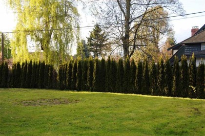 Photo 21 at 1775 Cedar Crescent, Shaughnessy, Vancouver West