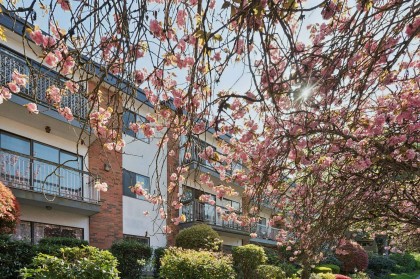 Photo 2 at 213 - 1950 W 8th Avenue, Kitsilano, Vancouver West