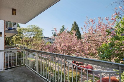 Photo 20 at 213 - 1950 W 8th Avenue, Kitsilano, Vancouver West