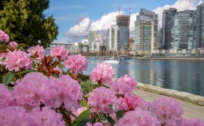 Photo 24 at 605 - 1510 W 1st Avenue, False Creek, Vancouver West