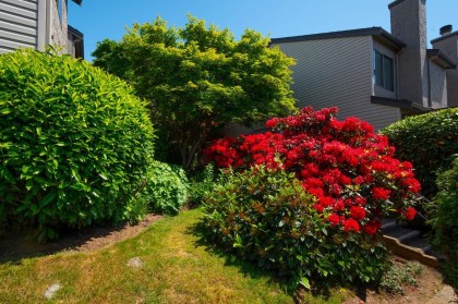 Photo 20 at 10 - 230 W 14 Street, Central Lonsdale, North Vancouver