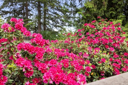 Photo 37 at 1561 Merlynn Crescent, Westlynn, North Vancouver