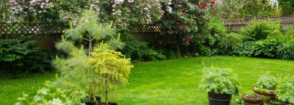 Photo 9 at 3755 Dunbar Street, Dunbar, Vancouver West