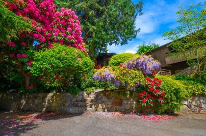 Photo 5 at 5335 Marine Drive, Caulfeild, West Vancouver