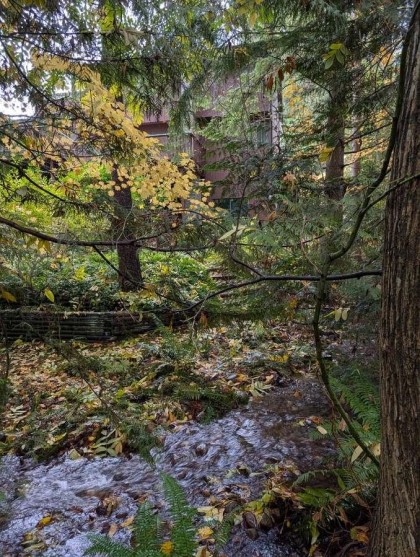 Photo 34 at 1498 Chamberlain Drive, Lynn Valley, North Vancouver