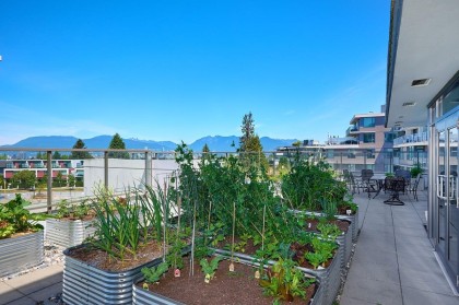 Photo 22 at 209 - 508 W 29th Avenue, Cambie, Vancouver West