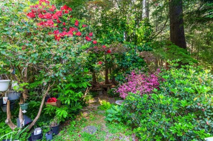 Photo 21 at 5261 Cliffridge Avenue, Canyon Heights NV, North Vancouver