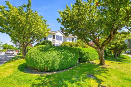 Photo 39 at 305 E 17th Street, Central Lonsdale, North Vancouver
