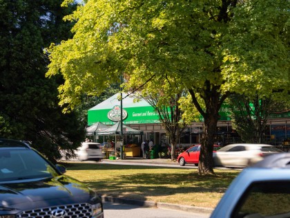 Photo 38 at 2305 W King Edward Avenue, Vancouver West