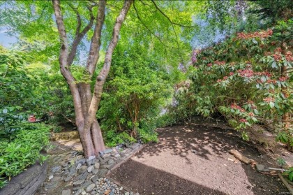 Photo 38 at 1982 Mcnicoll Avenue, Kitsilano, Vancouver West