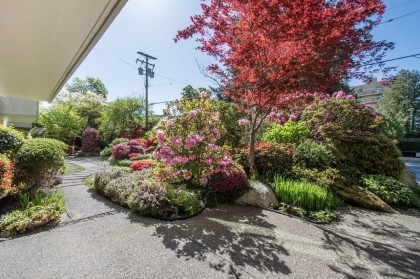 Photo 37 at 108 - 1425 Esquimalt Avenue, Ambleside, West Vancouver