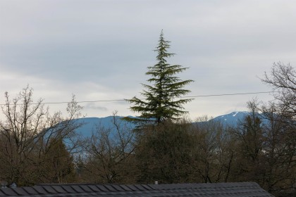 Photo 30 at 4 - 419 W 23rd Avenue, Cambie, Vancouver West