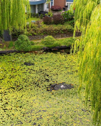 Photo 33 at 405 - 1502 Island Park Walk, False Creek, Vancouver West